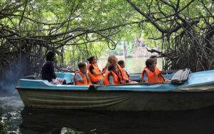 Madu river safari, Benthota