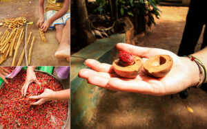 Exotic spice garden in Kandy