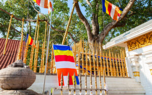 Sri Maha Bodhi Anuradhapura