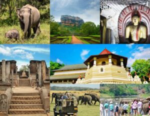 8 days tour package Sri Lanka
