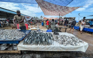 Negombo fish market