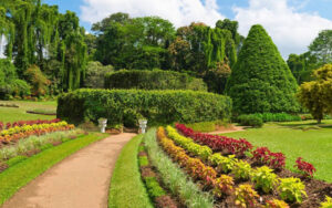 Royal botanica garden Peradeniya